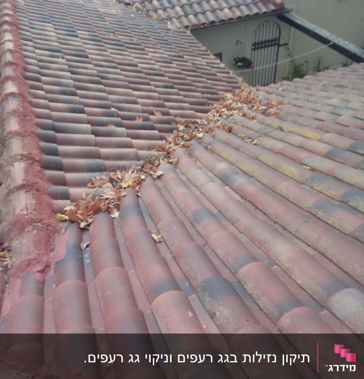 גג רעפים עם עלים יבשים בין הרעפים